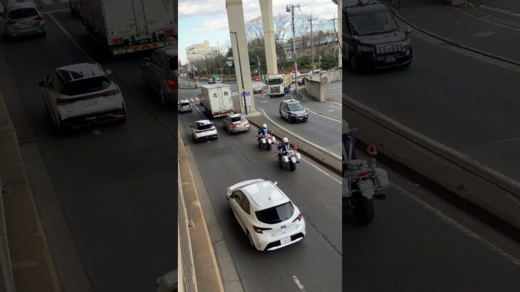 警視庁第4方面交通機動隊白バイ緊急走行(CB1300P)、一台はFJRパトラン