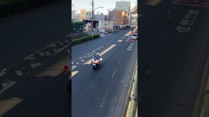 警視庁第4方面交通機動隊白バイ緊急走行(CB1300P)、一台はFJRパトラン