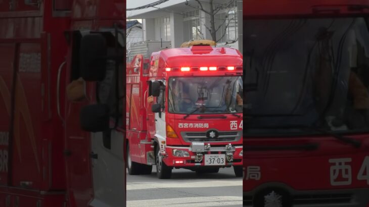 【緊急走行】西宮4、緊急走行！【西宮市消防局】#shorts  #ショート #消防署 #消防車 #fire #firefighter #サイレン#救急車 #救急 #はしご車