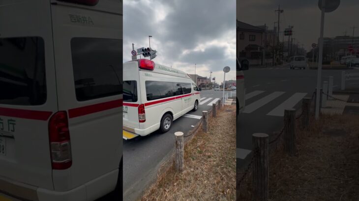(緊急走行)救急車に道を譲る車両達！東京消防庁西新井A緊急走行！