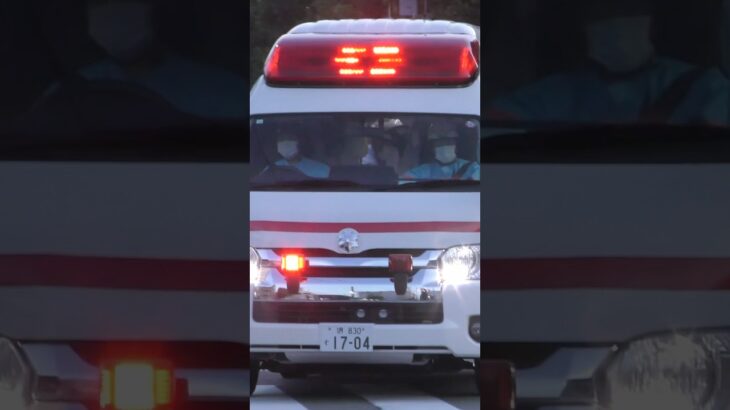 【緊急走行】 堺救急隊、救急指令！A173緊急走行！！【堺市消防局】#shorts  #緊急走行 ＃消防車 #救急車 #emergency #fire #救急車＃サイレン