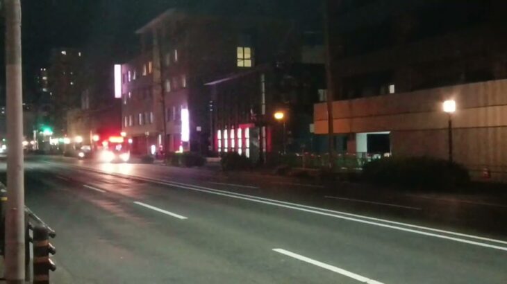 【緊急走行】鹿児島市立病院NICUドクターカー