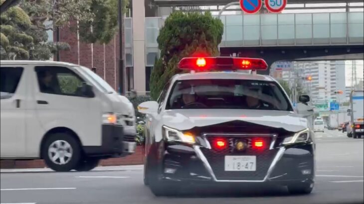 🚨交差点をUターンするパトカーが格好いい❤️兵庫県警🚨　#パトカー #兵庫県警