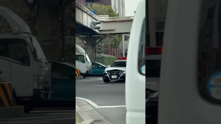 🚨Uターンするパトカー🚨兵庫県警🚨　#パトカー #shorts #song #shortvideo