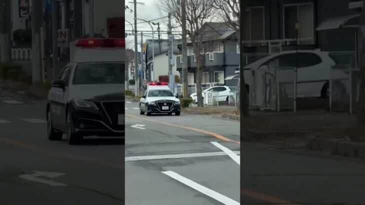 🚨パトカー🚨赤色灯🚨パトロール🚨兵庫県警🚨　#パトカー #兵庫県警 #short #shorts