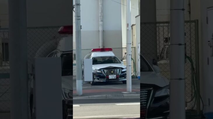 🚨大阪府警🚨パトカー🚨　#パトカー #大阪府警 #short #shorts