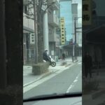 🚨警察官🚨警察バイク🚨兵庫県警🚨 #警察官 #警察バイク #short #shorts