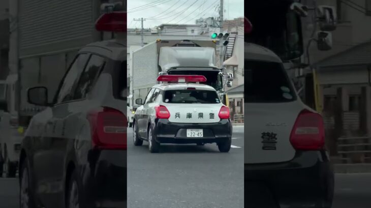 🚨パトカー🚨ミニパト🚨兵庫県警🚨パトロール🚨 #パトカー #ミニパト #short #shorts