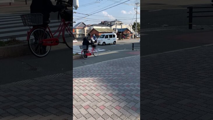 🚨白バイ🚨兵庫県警🚨　#白バイ #兵庫県警 #short #shorts