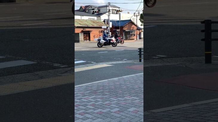🚨交差点に白バイ🚨兵庫県警🚨　#白バイ #兵庫県警 #short #shorts