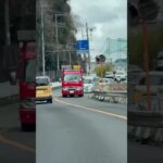 🚨消防車🚨帰還シーン🚨　#消防車 #short #shorts