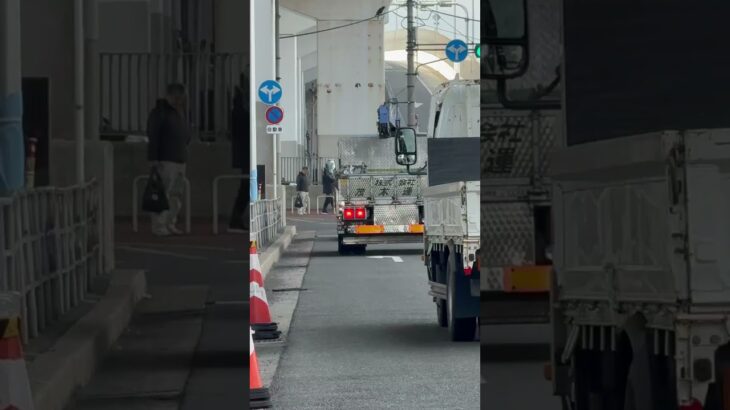 🚨パトカー🚨兵庫県警🚨赤色灯🚨　#パトカー #short #shorts #shortsfeed