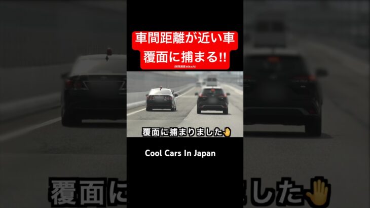 煽り気味の車が覆面パトカーに捕まる‼️ #shorts