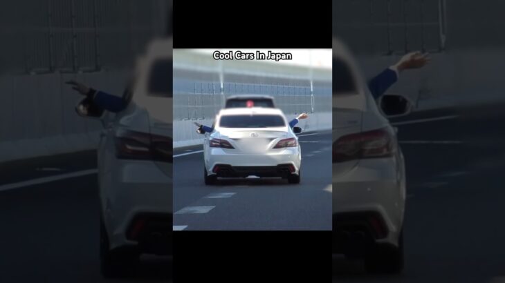 後ろから見る覆面パトカーが可愛すぎた😂👋　#shorts