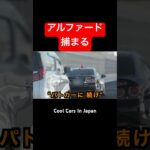 〇〇違反の『アルファード』が捕まる瞬間‼️ #覆面パトカー #shorts