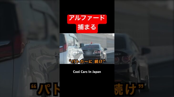〇〇違反の『アルファード』が捕まる瞬間‼️ #覆面パトカー #shorts
