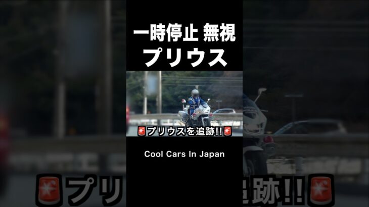 一時停止しない『プリウス』の末路‼️ 【白バイ】　#shorts