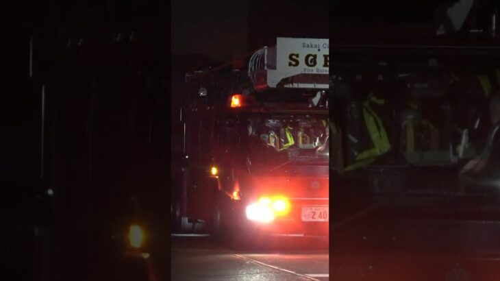 【緊急走行】美原はしご、緊急走行！！【堺市消防局】#shorts  #緊急走行 ＃消防車 #救急車 #emergency #fire #救急車＃サイレン