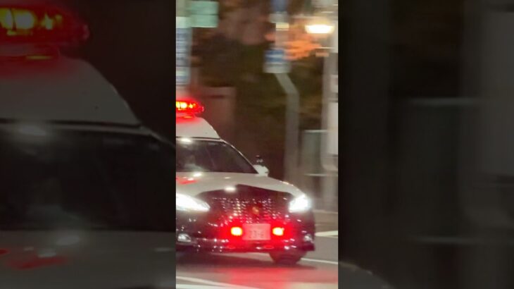 【緊急走行】パトカー緊急走行！！！本編にて！！！#shorts #パトカー #警察 #警察屋さん #police #警察密着