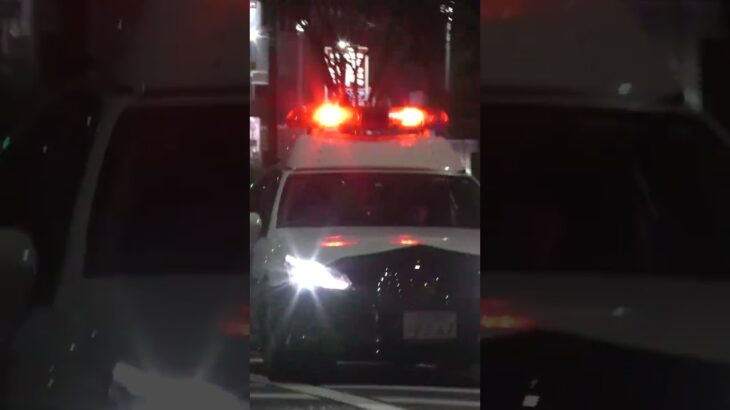 【緊急走行】パトカー緊急走行！！！本編にて！！！#shorts #パトカー #警察 #警察屋さん #police #警察密着