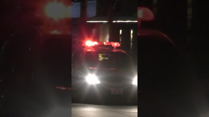 【緊急走行】パトカー緊急走行！！！本編にて！！！#shorts #パトカー #警察 #警察屋さん #police #警察密着