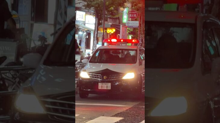 【緊急走行】パトカー緊急走行！！！本編にて！！！#shorts #パトカー #警察 #警察屋さん #police #警察密着