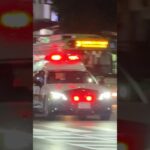 【緊急走行】パトカー緊急走行！！！本編にて！！！#shorts #パトカー #警察 #警察屋さん #police #警察密着