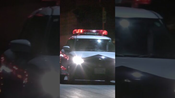 【緊急走行】パトカー緊急走行！！！本編にて！！！#shorts #パトカー #警察 #警察屋さん #police #警察密着