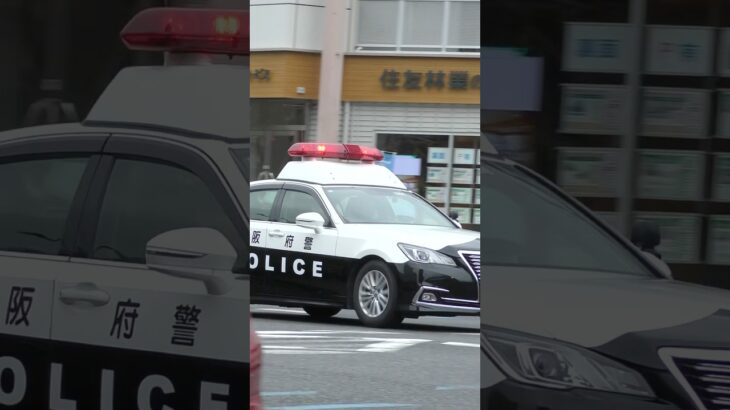 【緊急走行】パトカー緊急走行！！！本編にて！！！#shorts #パトカー #警察 #警察屋さん #police #警察密着