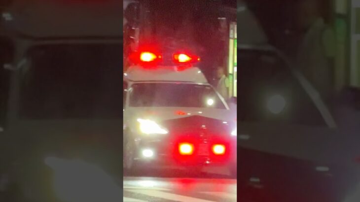 【緊急走行】パトカー緊急走行！！！本編にて！！！#shorts #パトカー #警察 #警察屋さん #police #警察密着