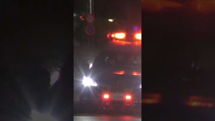 【緊急走行】パトカー緊急走行！！！本編にて！！！#shorts #パトカー #警察 #警察屋さん #police #警察密着