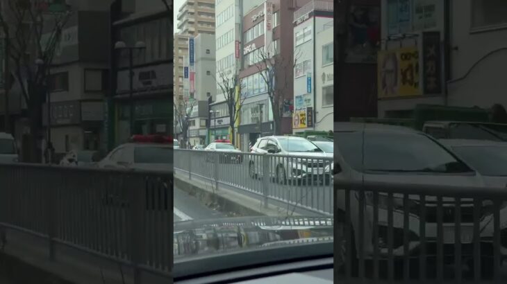 🚨パトカー🚨兵庫県警🚨赤色灯🚨　#パトカー #shorts #short