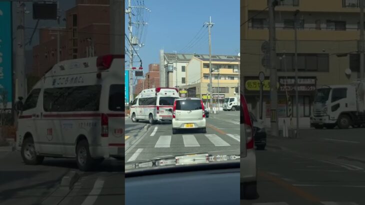 🚨パトカーと救急車🚨　#パトカー #救急車 #shorts #short