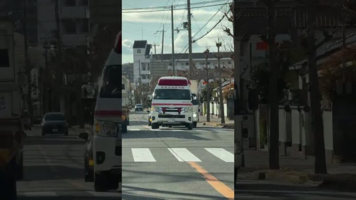 🚨救急車🚨帰還シーン🚨宝塚市消防本部🚨　#救急車 #shorts #short