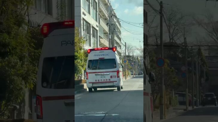 🚨対応中の救急車🚨赤色灯🚨西宮市消防局🚨　#救急車 #shorts #short