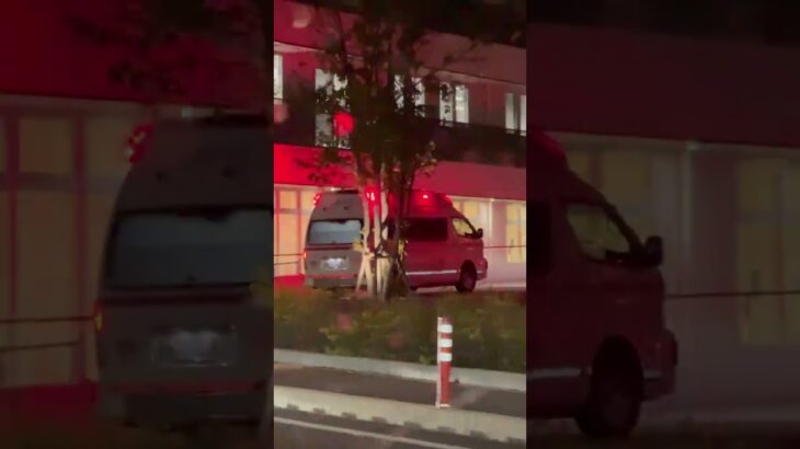 🚨病院に到着した救急車🚨赤色灯🚨 #救急車 #shorts #short #shortvideo
