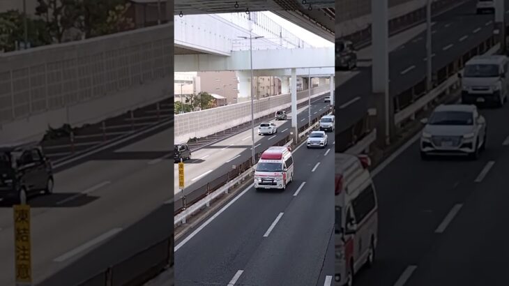 🚨救急車🚨帰還シーン🚨西宮市消防局🚨　#救急車 #shortsvideo #shorts #shortsfeed