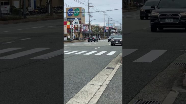 🚨白バイ🚨走行動画🚨兵庫県警🚨　#白バイ #shortvideo #shorts #shortsvideo