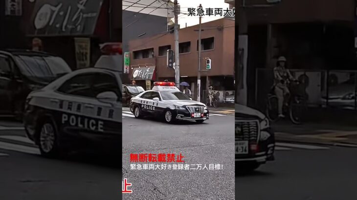 この後公開！パトカー緊急走行🚨