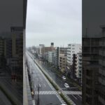 消防車緊急走行🚨🦺