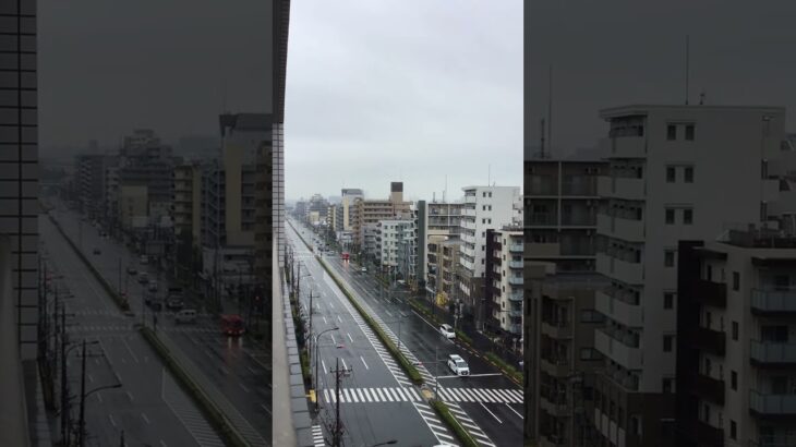 消防車緊急走行🚨🦺