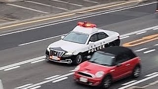 パトカー　緊急走行