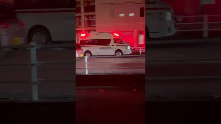 【リモートサイレン🚨】埼玉東部消防局　救急車　緊急走行シーン！