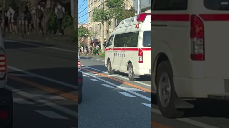 救急車が通ります、道をあけてください 合成音声を流し緊急走行【本町救急隊・藤沢市消防局】