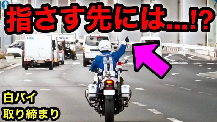 白バイ隊員が指さす先には…⁉️　【速度取り締まり サイレン】