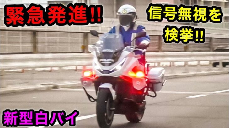 【白バイの緊急発進‼️】信号無視を捕まえる瞬間 ２連発‼️　[サイレン]