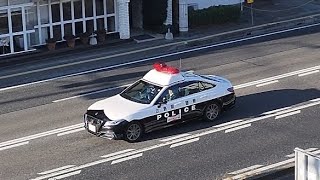 パトカー　緊急走行