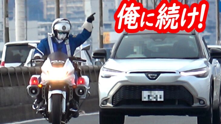 白バイに追突しかけて急ブレーキ！よそ見してあわや二次災害のカローラクロス…【後編・ミサイルのような白バイスピード違反取り締まり】