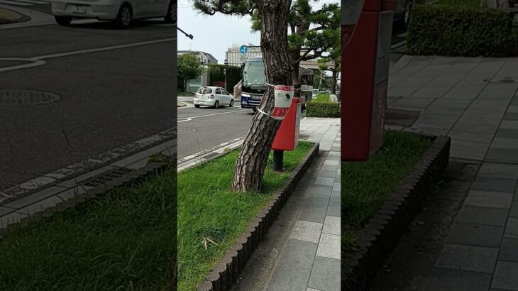 #緊急走行中の救急車に道を譲る観光バス