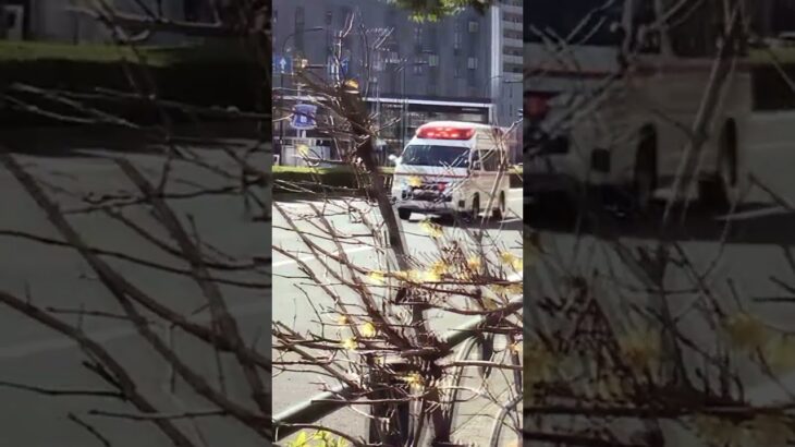 東京消防庁トヨタハイメディック高規格救急車緊急走行🚨🦺🚑 #救急車 #消防署 #警察 #救助技術